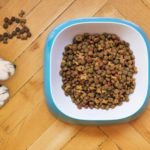 Hundefutter ohne Getreide im Test