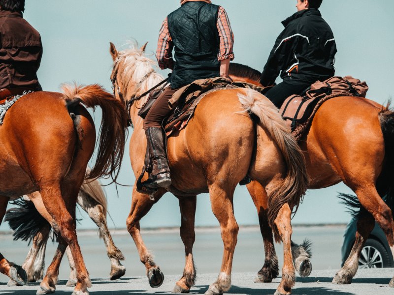 Drei Reiter zu Pferde von hinten an einem Strand