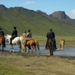 Reiter mit Islandsattel auf ihren Pferden in Island