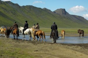 Reiter mit Islandsattel auf ihren Pferden in Island