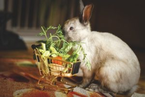 Kaninchen isst Gemüse aus einem Mini-Einkaufswagen