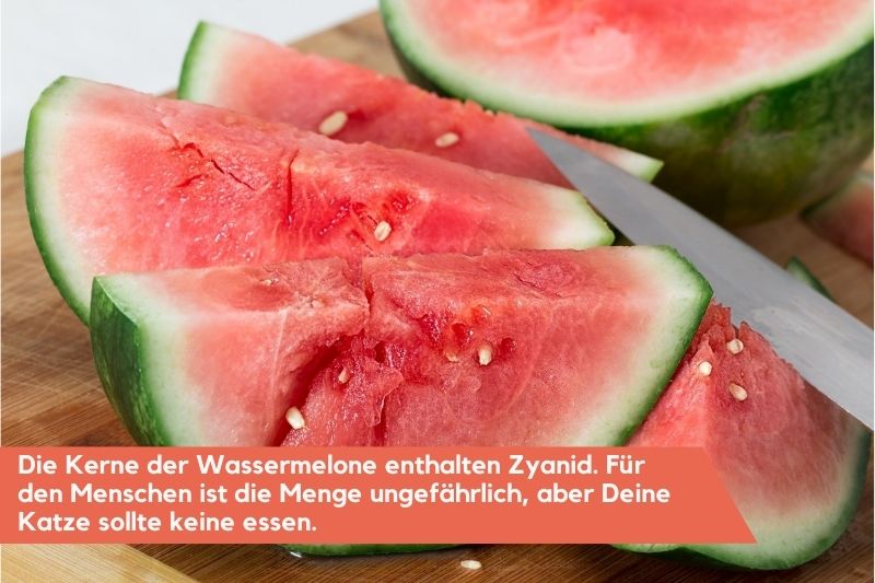 Wassermelonen-Stücke